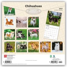 „Chihuahuas“, „Earth Friendly“, „2027“, „16-Month Calendar“. Fotos von Chihuahua-Hunden in verschiedenen Monaten.