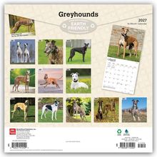 Greyhounds, Earth Friendly, 2027, 16-Month Calendar, Jan-Dec Bilder von Greyhounds.
