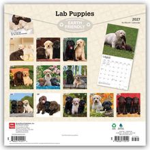 "Lab Puppies", "Earth Friendly", "2027", Monate mit süßen Labradorwelpen in verschiedenen Szenen, Kalenderblatt April.