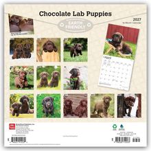 "Chocolate Lab Puppies", "EARTH FRIENDLY", "2027 Calendar", Monatsbilder mit Welpen, darunter Kalenderblatt April.