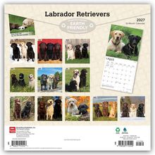 Text: Labrador Retrievers, Earth Friendly, 2027, 16-Month Calendar.  
Abbildungen von Labradoren in verschiedenen Posen.