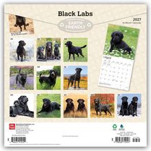 Text: "Black Labs", "EARTH FRIENDLY", "16-Month Calendar 2027", Monatsbilder von schwarzen Labradoren, ein Kalenderblatt.