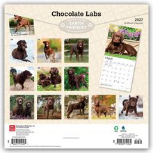 Text oben: "Chocolate Labs", "EARTH FRIENDLY", "2027". Bilder von braunen Labradoren für jeden Monat. 16-Monatskalender.