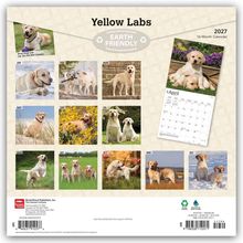 Oben steht "Yellow Labs". Darunter zwölf Fotos von Labradoren, jeweils einem Monat zugeordnet.