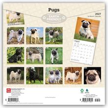 "Pugs", "EARTH FRIENDLY", "2027", "16-Month Calendar", "April". Zwölf Monatsbilder von Möpsen.