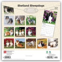 "Shetland Sheepdogs", "Earth Friendly", 2027 Kalender, zeigt monatliche Bilder von Shelties in verschiedenen Umgebungen.