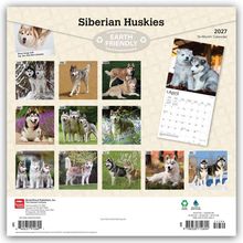 "Siberian Huskies", "EARTH FRIENDLY", "2027". Kalender mit Bildern von Huskies, einzeln, zu zweit oder in Gruppen.