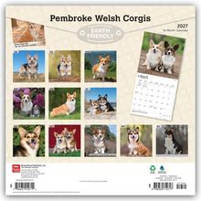 "Pembroke Welsh Corgis", "EARTH FRIENDLY", 2027, Monate Jan-Dez mit Corgi-Bildern, Kalender-Aprilauszug sichtbar.