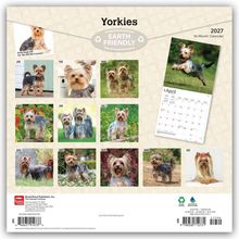 Text: "Yorkies", "Earth Friendly", "2027", "16-Month Calendar". Verschiedene Fotos von Yorkshire Terriern in Kalenderformat.