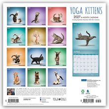 „YOGA KITTENS“, Monatsnamen mit Katzennamen darunter. Verschiedene Katzen posieren in Yoga-Stellungen auf bunten Hintergründen.