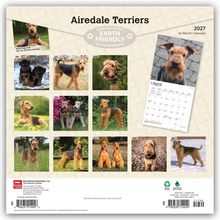 Texte: Airedale Terriers, Earth Friendly, April, Jan-Dez. 12 Fotos von Airedale Terriern, Kalender 2027, Titelbild mit Hund.