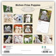 "Bichon Frise Puppies", "EARTH FRIENDLY", Kalender 2027. Bilder von weißen Hunden, je Monat eines; April-Kalenderblatt.