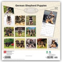 Texte oben: "German Shepherd Puppies", "EARTH FRIENDLY", "2027 16-Month Calendar". Fotos von Schäferhundwelpen.