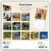 "Great Danes", "Earth Friendly", "2027 16-Month Calendar". Kalender mit Monatsbildern von Deutschen Doggen.