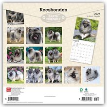 "Keeshonden", "EARTH FRIENDLY", "2027 16-Month Calendar". Verschiedene Keeshond-Hunde in Monaten arrangiert.