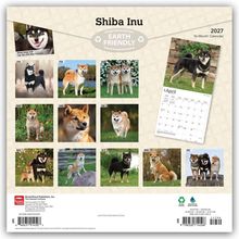 Shiba Inu Kalender 2027, umweltfreundlich. Fotos von Shiba Inus jeden Monat. Ein Kalenderblatt liegt bei.