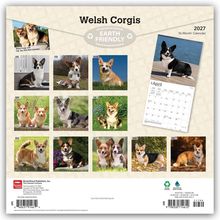 "Welsh Corgis", "2027 16-Month Calendar", "EARTH FRIENDLY"; 12 Monatsfotos von verschiedenen Corgis, Kalenderblatt für April.