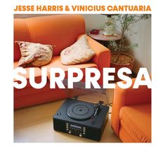 Jesse Harris & Vinicius Cantuaria: Surpresa, CD
