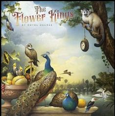 The Flower Kings: By Royal Decree (180g) (Limited Edition Boxset) (Transparent Green Vinyl) (exklusiv für jpc!), LP