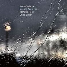 Texte: Craig Taborn, Dream Archives, Tomeka Reid, Ches Smith, ECM. Kunstwerk: Strukturiertes, nasses Glas mit Lichteffekten.