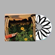 Eine CD mit schwarz-weißer Sonnenblumenzeichnung liegt neben einem Foto von Sonnenblumen in einem Abenddämmerungsfeld.