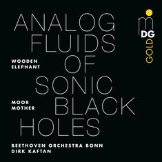Text: "ANALOG FLUIDS OF SONIC BLACK HOLES. WOODEN ELEPHANT, MOOR MOTHER, BEETHOVEN ORCHESTRA BONN, DIRK KAFTAN." Logo: "MDG GOLD".