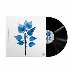 Matt Berninger: Get Sunk, LP