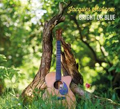„Jacques Stotzem, Bright or Blue“. Eine Gitarre lehnt an einem alten Baumstamm in einer grünen, blühenden Waldszene.