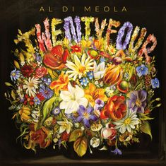 Al Di Meola (geb. 1954): Twentyfour, CD