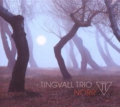 Tingvall Trio: Norr (180g), LP