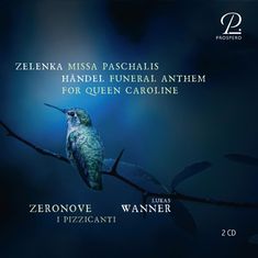 ZELENKA MISSA PASCHALIS, HÄNDEL FUNERAL ANTHEM FOR QUEEN CAROLINE, Vogel auf einem Ast, dunkler Hintergrund.