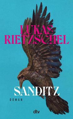 „LUKAS RIETZSCHEL“, „SANDITZ“, „ROMAN“. Ein Adler in dunklen Brauntönen vor einem hellblauen Hintergrund. Logo „dtv“.