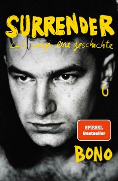 Bono: Surrender, Buch