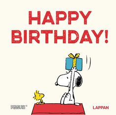 Charles M. Schulz: Peanuts Geschenkbuch: Happy Birthday!, Buch