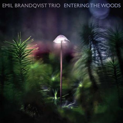 Emil Brandqvist (geb. 1981): Entering The Woods (180g) (Limited Edition) (signiert, exklusiv für jpc!), LP