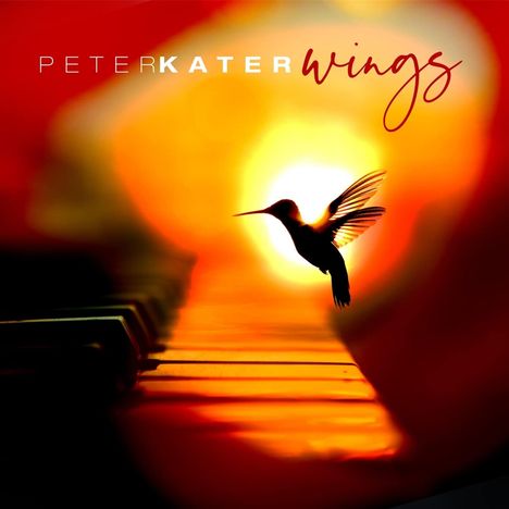 Peter Kater: Wings, CD