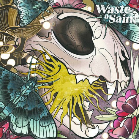 Waste A Saint: Hypercarnivore, CD