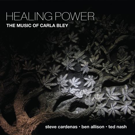 Steve Cardenas, Ben Allison &amp; Ted Nash: Healing Power: The Music Of Carla Bley, CD
