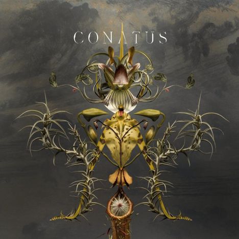 Joep Beving (geb. 1976): Conatus (Remix-Album) (180g), 2 LPs
