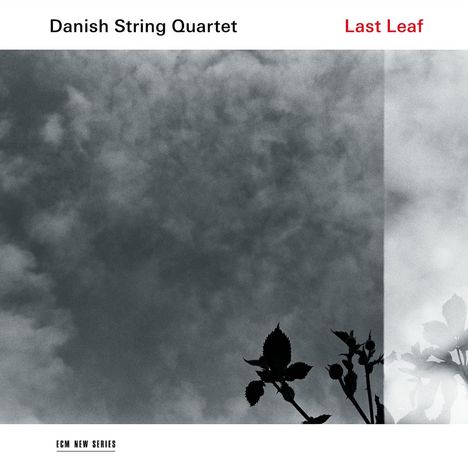 Danish String Quartet - Last Leaf (180g), LP