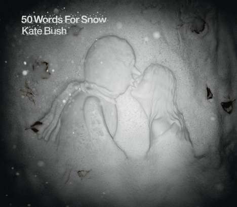 Kate Bush (geb. 1958): 50 Words For Snow (180g), 2 LPs