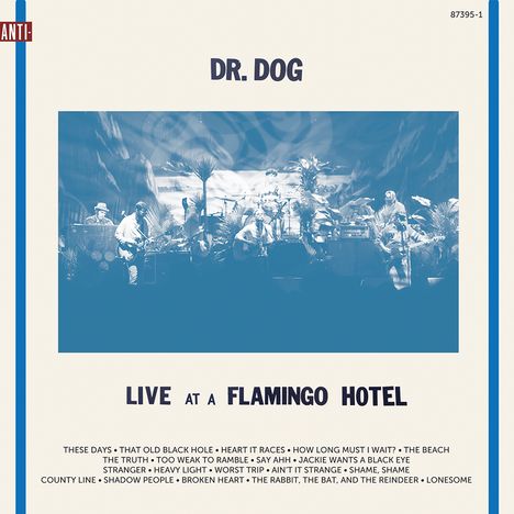 Dr. Dog: Live At A Flamingo Hotel, 2 LPs