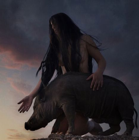 Eine Person mit langem Haar kniet, umarmt ein Wildschwein. Der Himmel ist dramatisch bewölkt bei Sonnenuntergang.