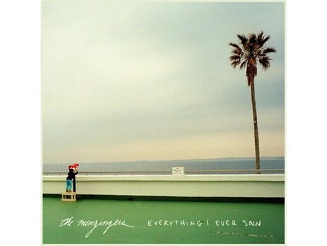 "The Menzingers" und "Everything I Ever Saw" in weißer Schrift. Ein kleiner Junge steht auf einer Kiste, links eine Palme.