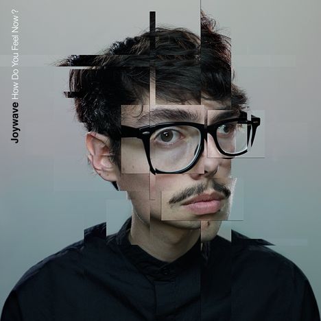 Joywave: How Do You Feel Now? (180g), 2 LPs