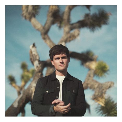 Tom Speight: Everything's Waiting For You, LP