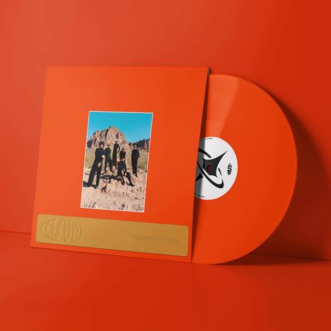 Leisure: Welcome to the Mood (Colored Vinyl), LP