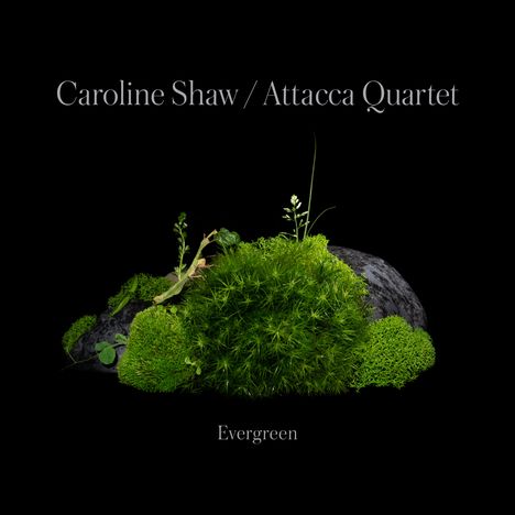 Caroline Shaw (geb. 1982): Evergreen, CD