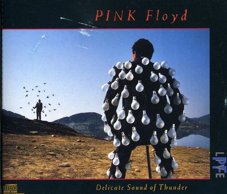 Pink Floyd: Delicate Sound Of Thunder: Live, 2 CDs