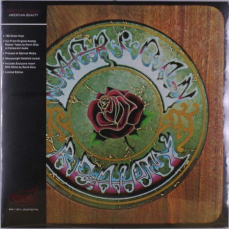 „American Beauty“ und kunstvoll geschwungener Schriftzug. Illustration: Rote Rose auf grünem Hintergrund.